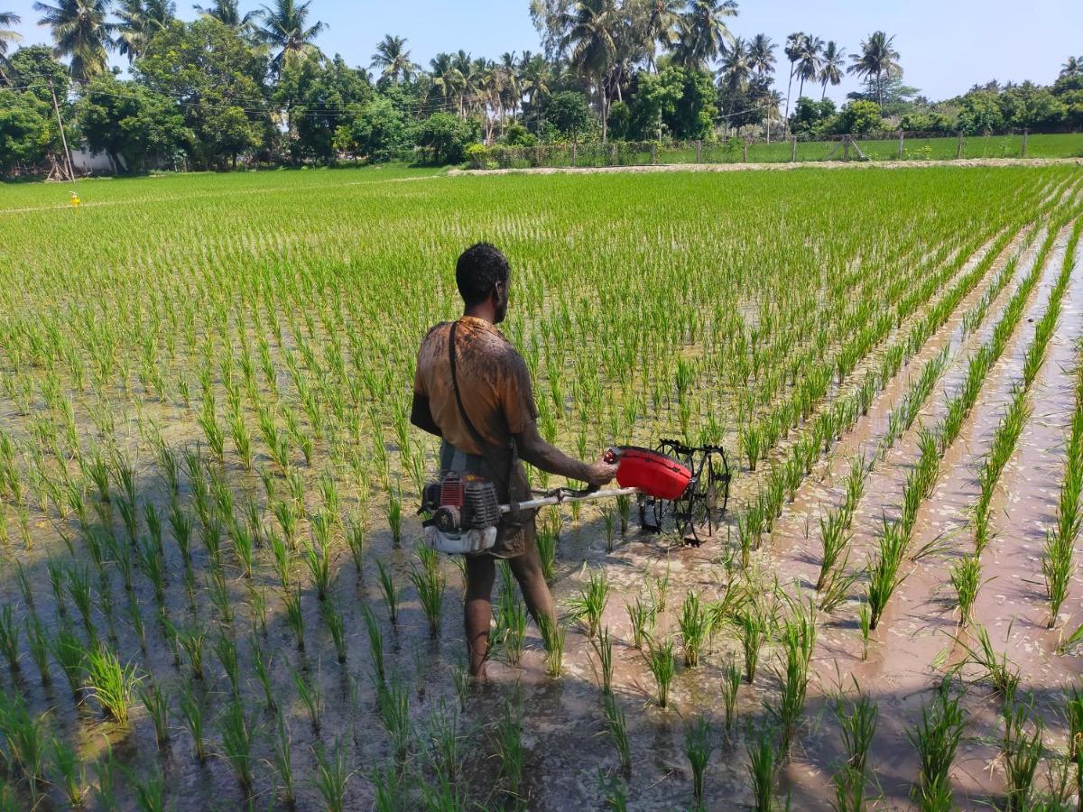 The Farm Crest, Ecr Kadallur Kuvattur ภายนอก รูปภาพ