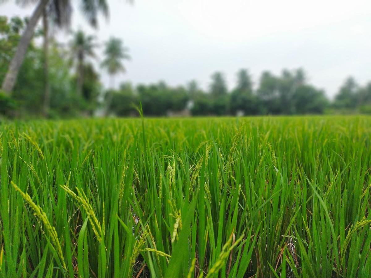 The Farm Crest, Ecr Kadallur Kuvattur ภายนอก รูปภาพ