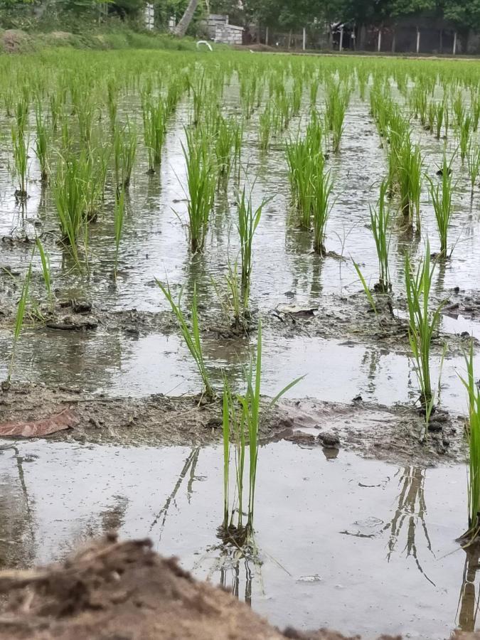 The Farm Crest, Ecr Kadallur Kuvattur ภายนอก รูปภาพ