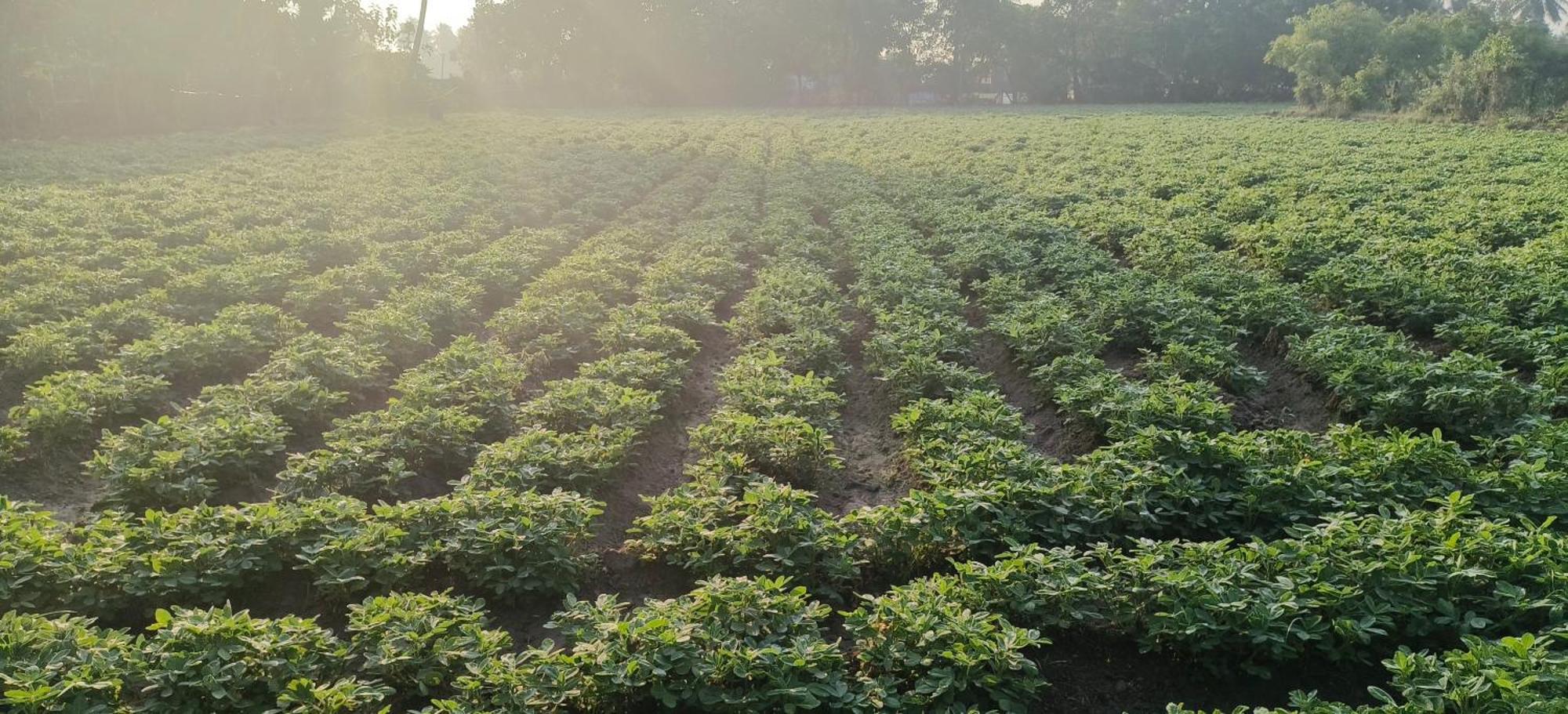 The Farm Crest, Ecr Kadallur Kuvattur ภายนอก รูปภาพ